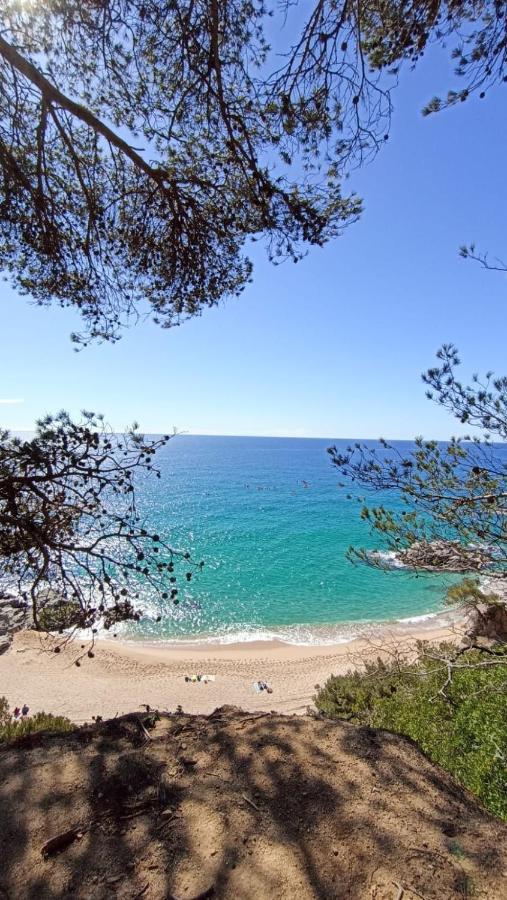 Daro Apartments Platja d'Aro Exterior photo